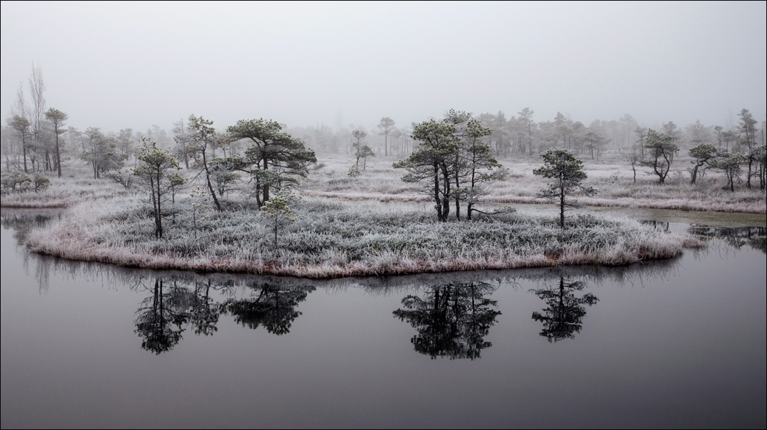 Остров на болоте