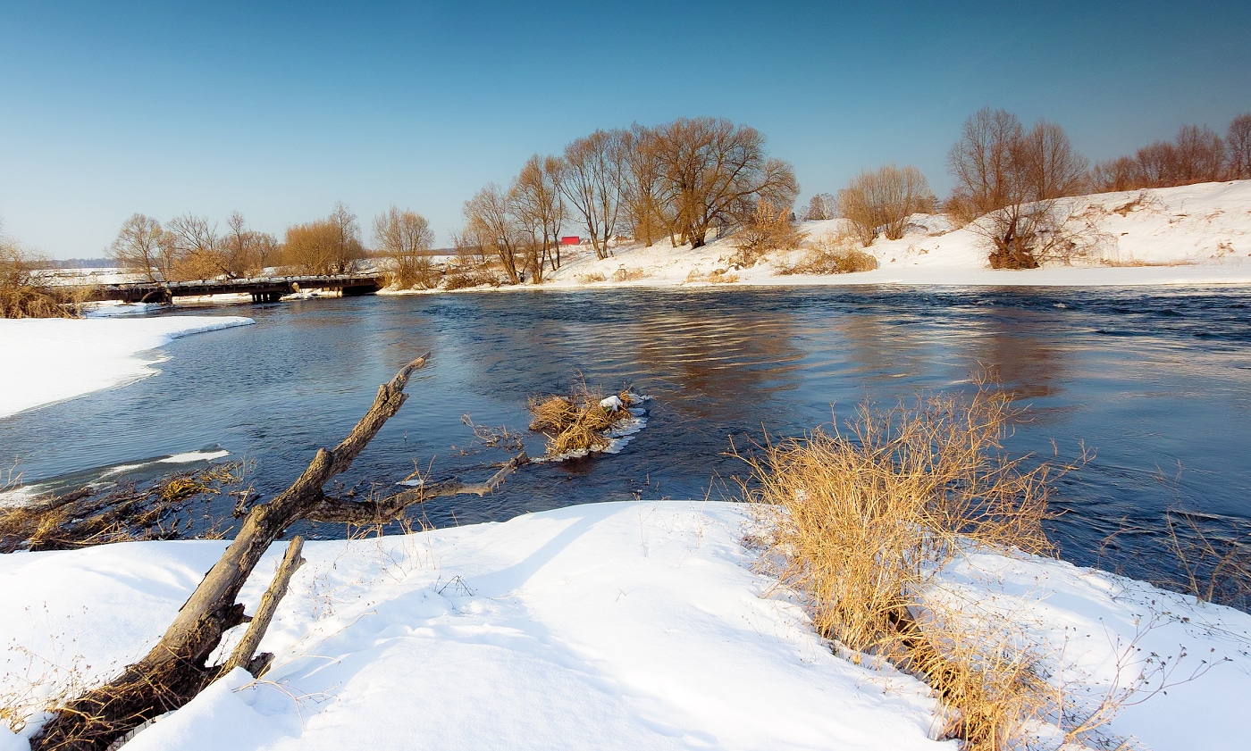 Зимний этюд