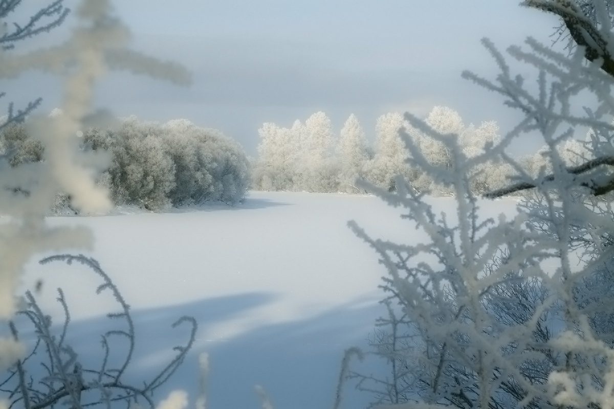 Окно в зиму