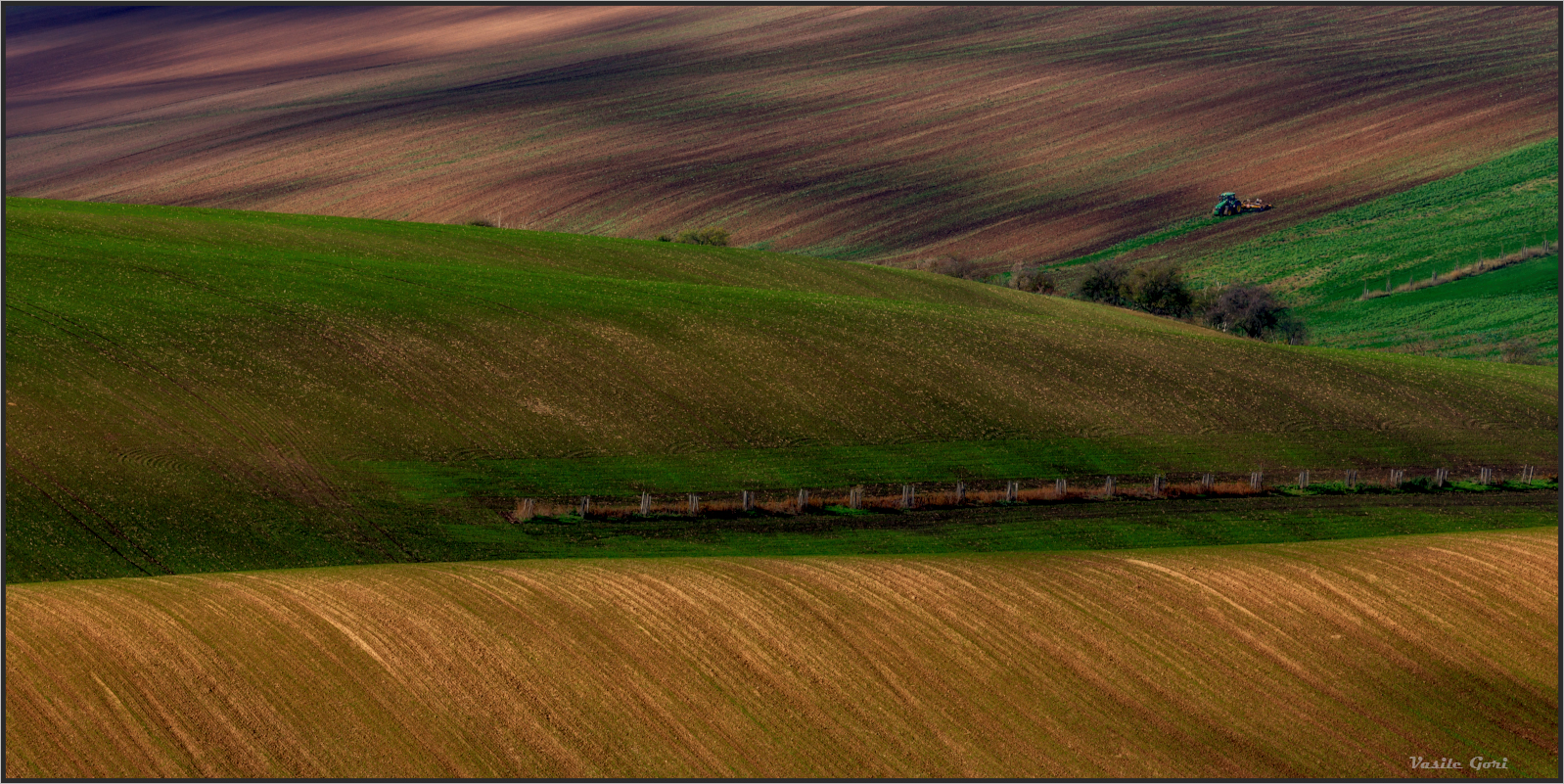Преодолевая препятствия.
