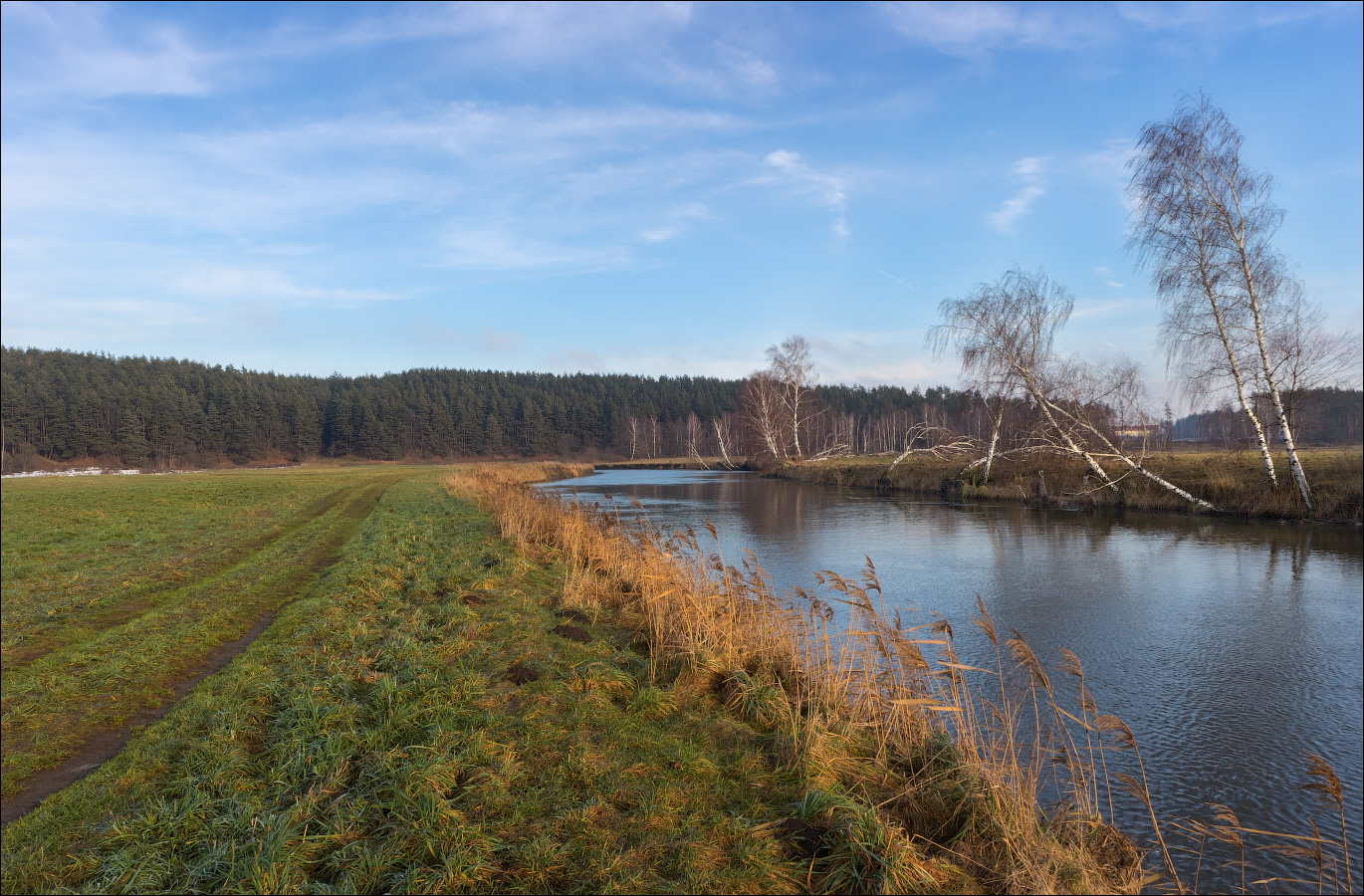 Необычный декабрь