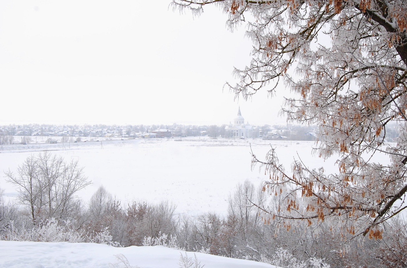 Под белым покрывалом января