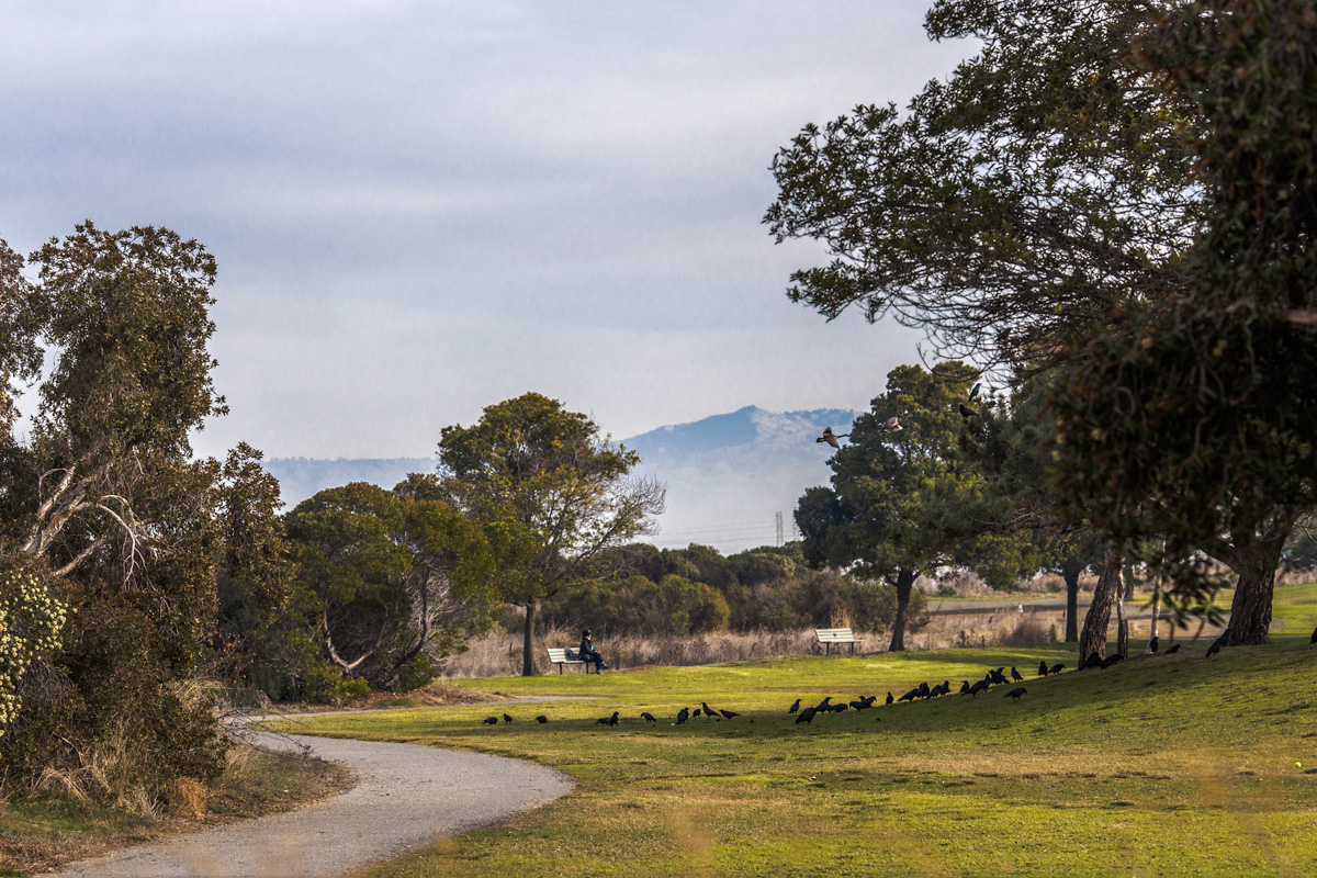 Дело было в декабре
