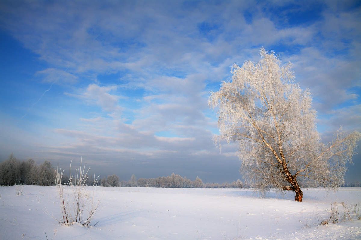 Во поле берёза стояла...