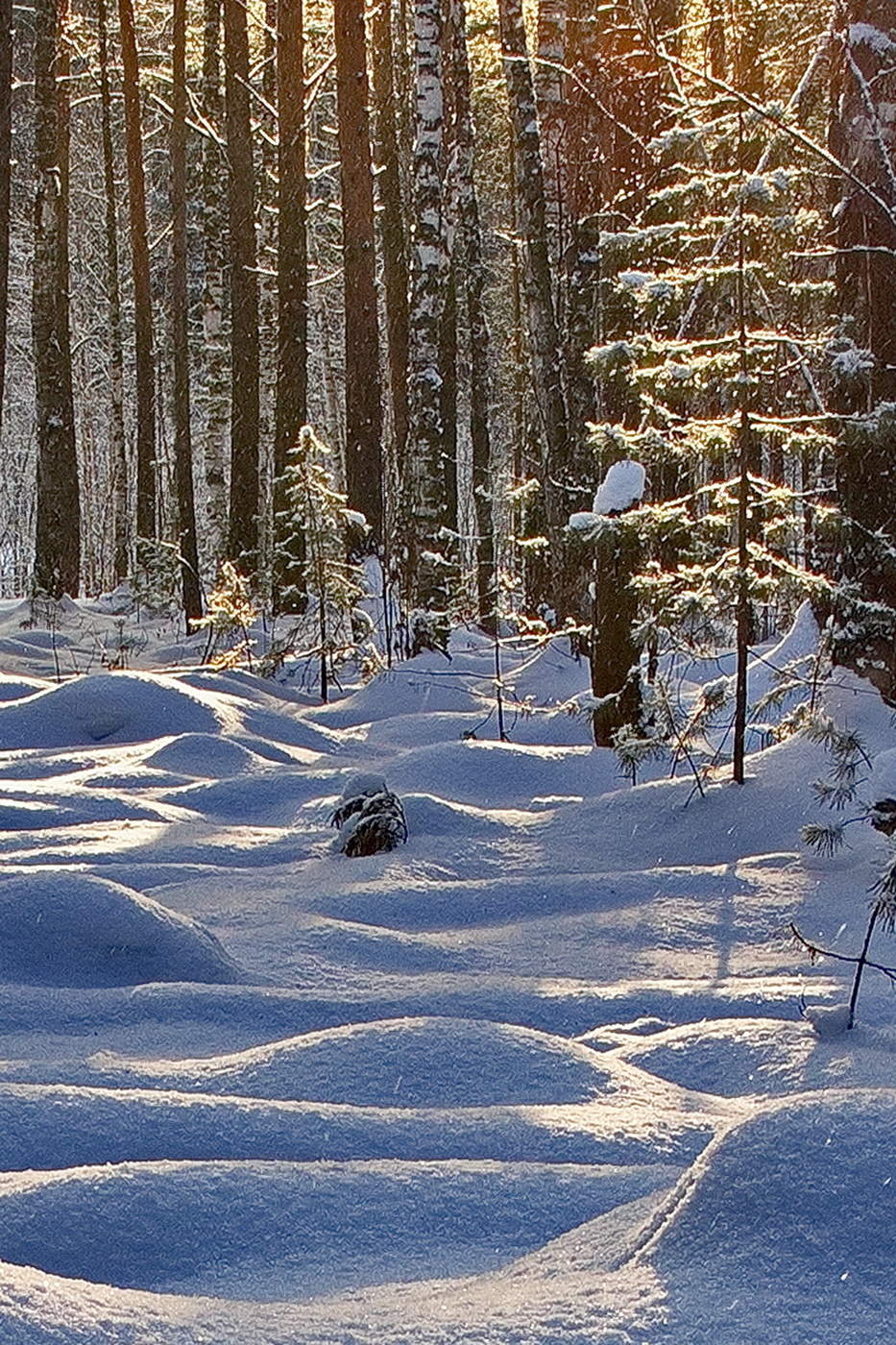 ЗИМНИЙ ЭТЮД