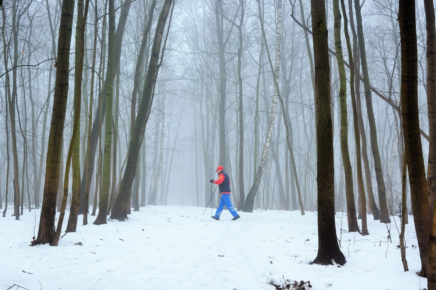 Утренняя прогулка ...