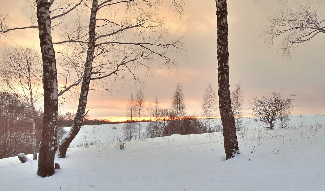 Доброе утро Нового года