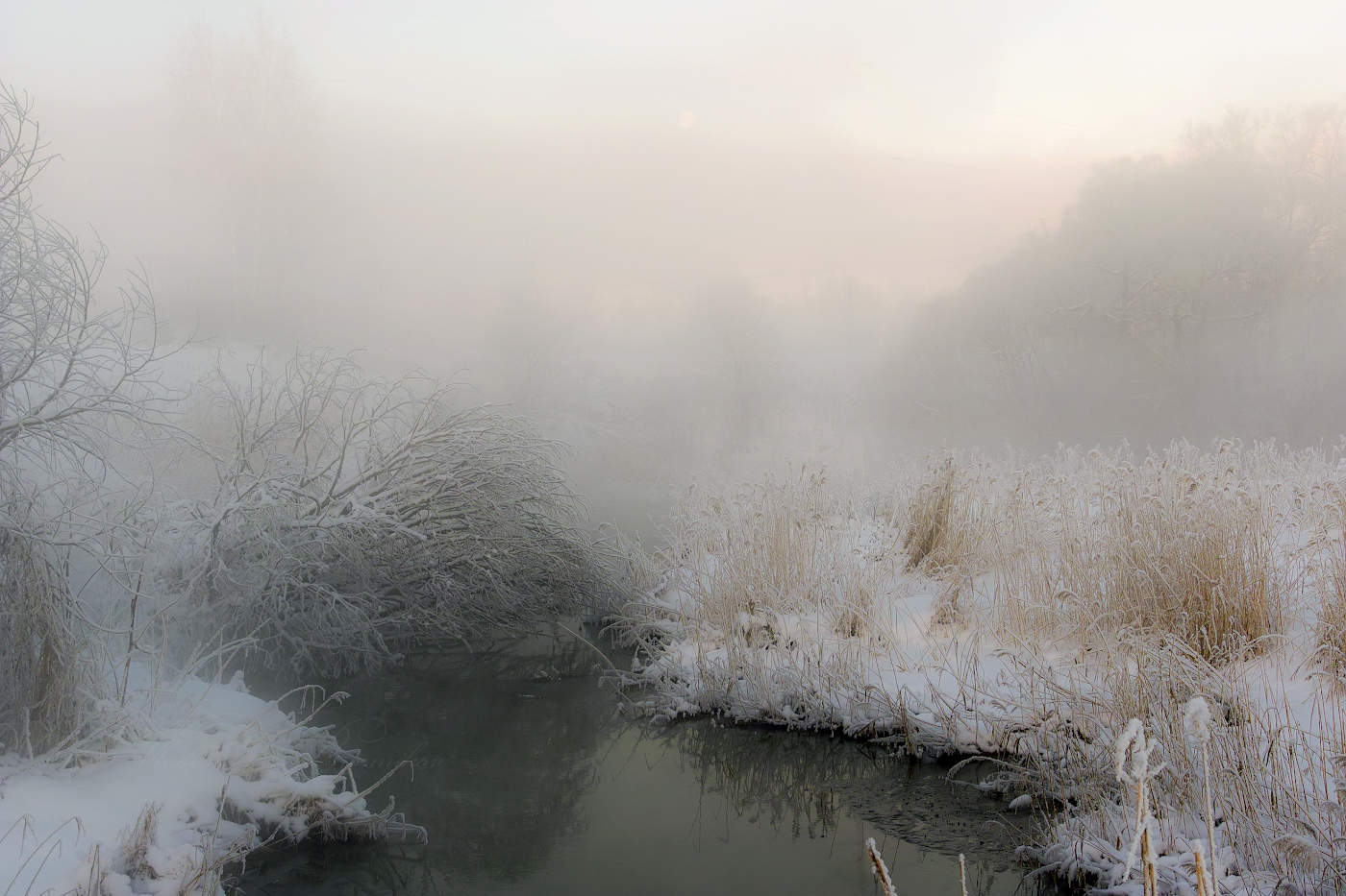 Новогоднее пробуждение