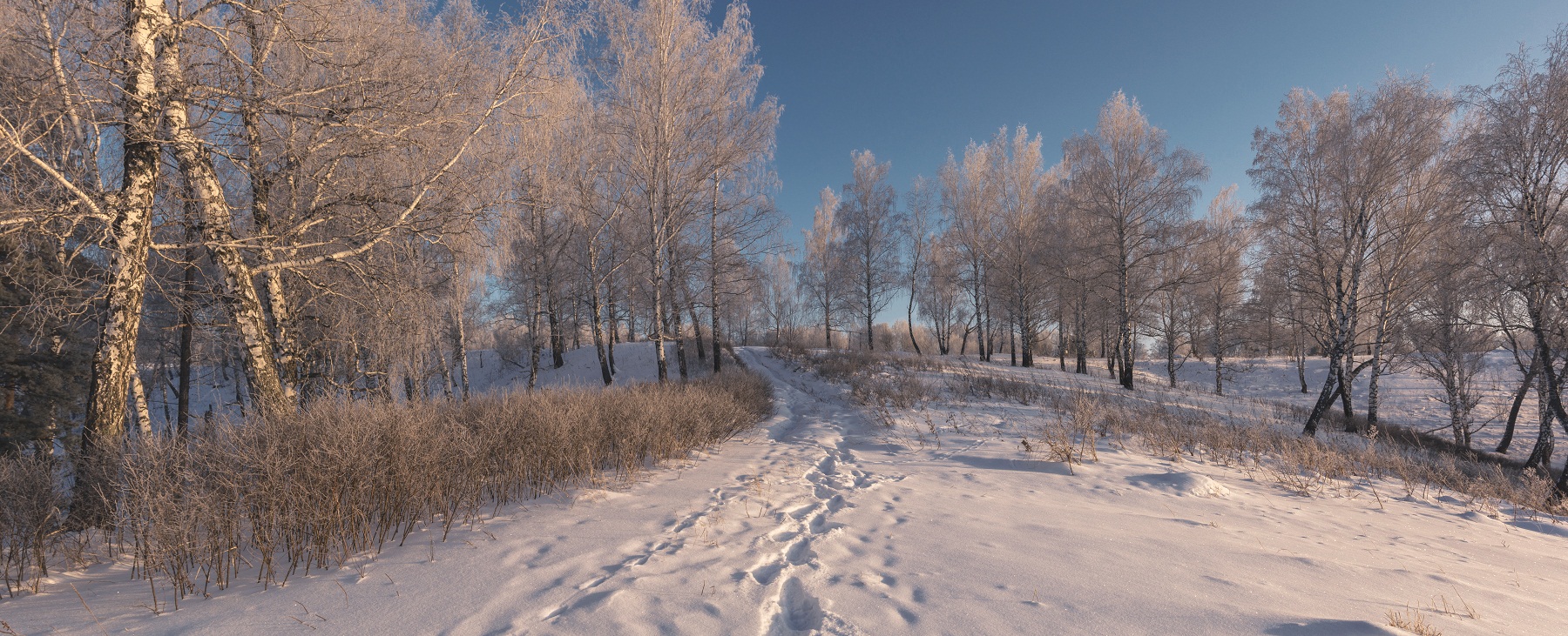 Зима. Фотограф торжествует...
