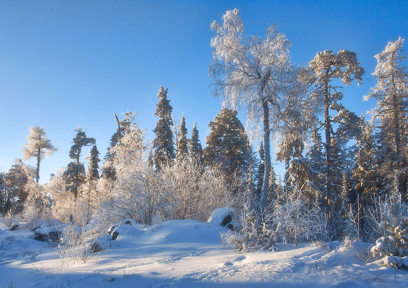 Сверкающее утро