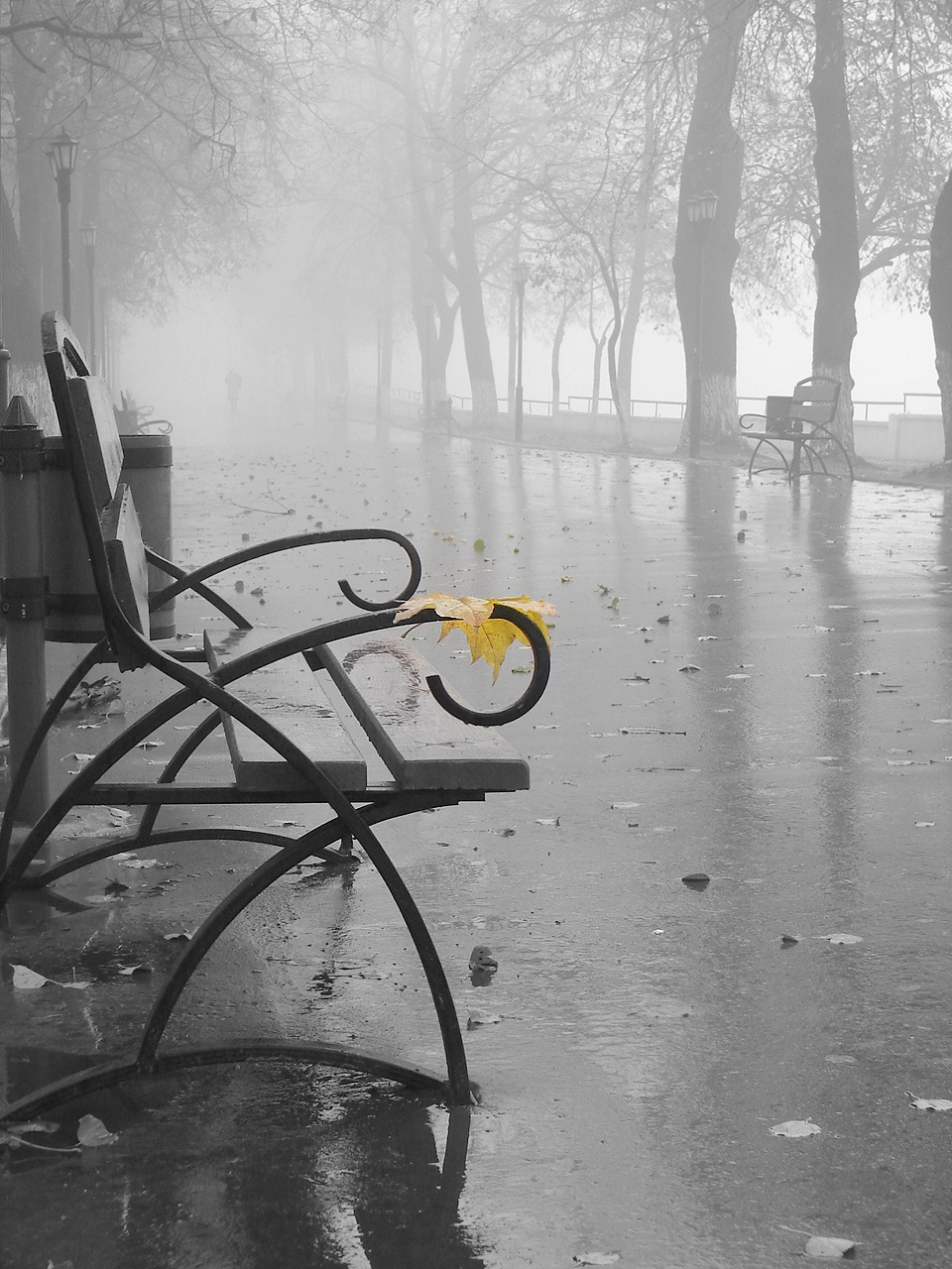 Уставший лист