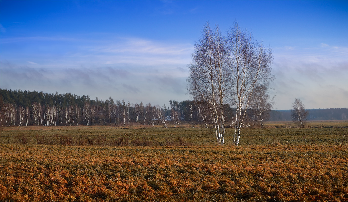 Необычный декабрь 2