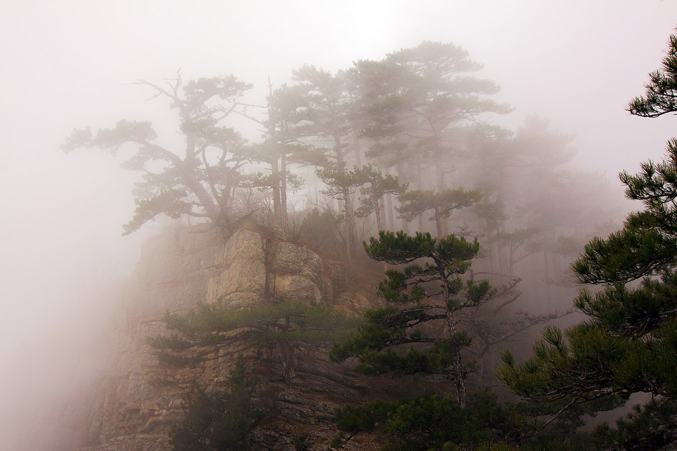 Ай-Петринские туманы