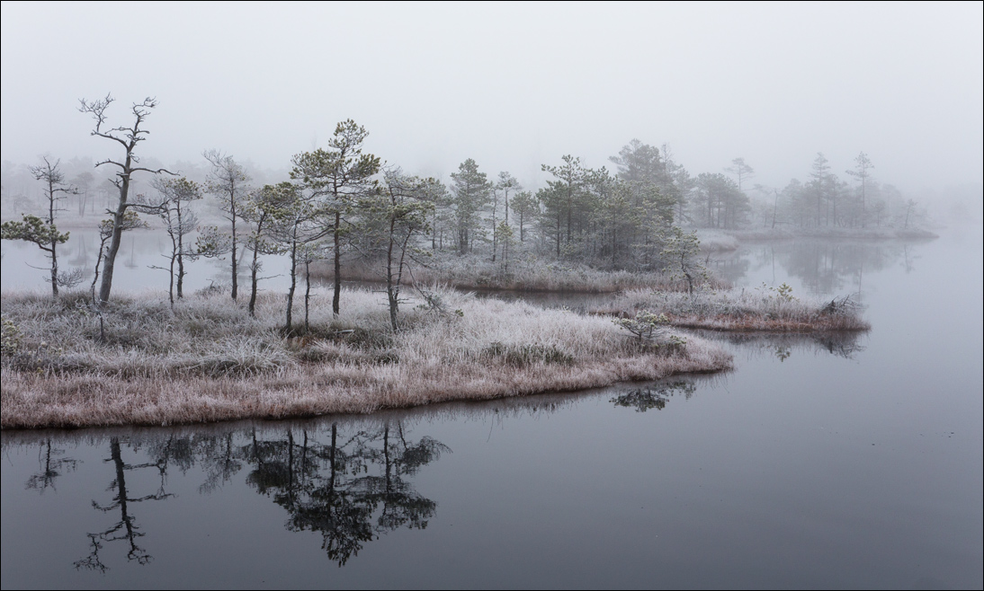 Плывущие в туман