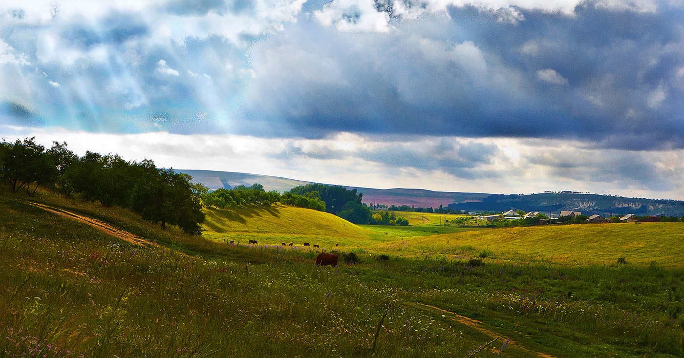 Освещённые солнцем.