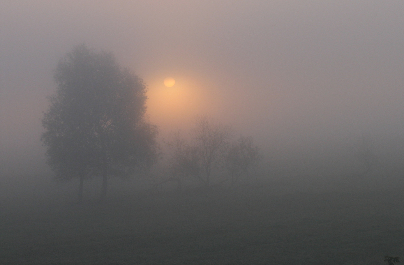 Осенний этюд