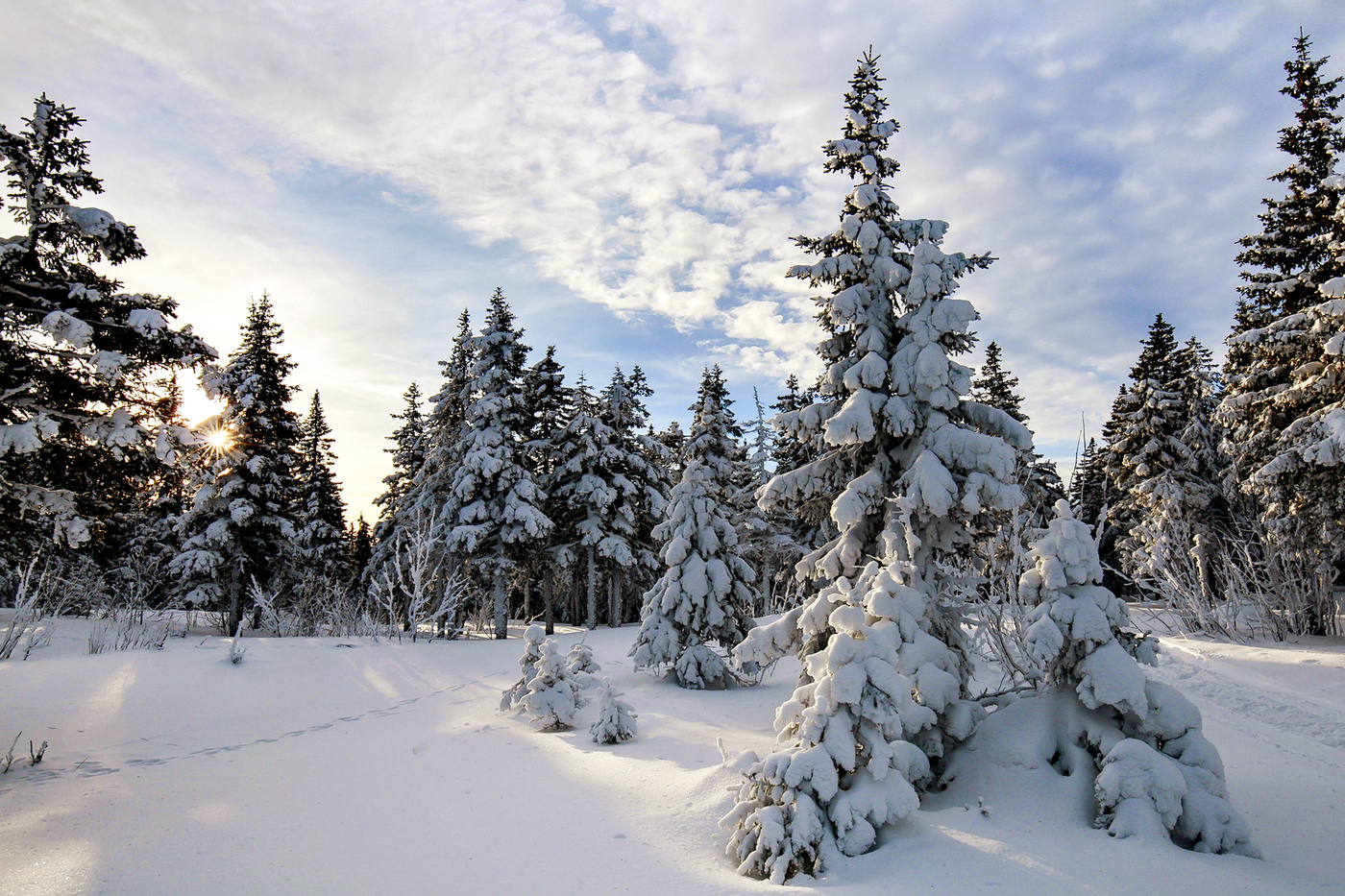 Утро 1 января