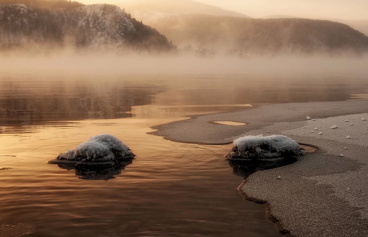Зимние ежики.