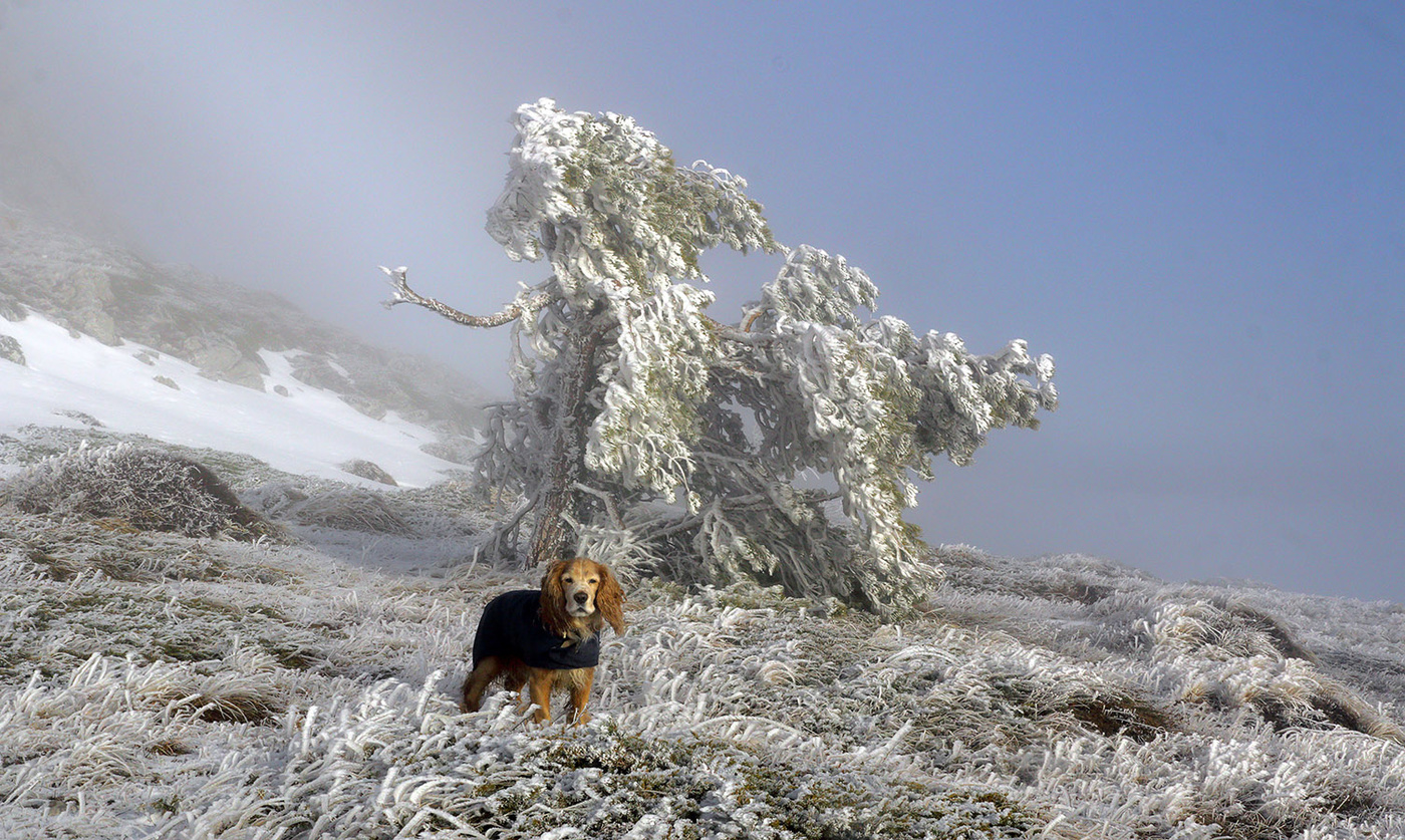 Чатыр-Даг-2018
