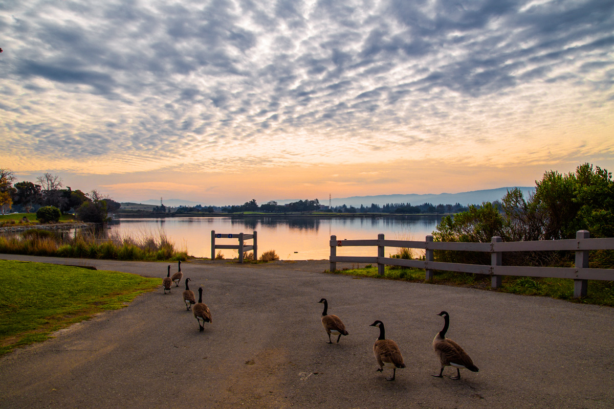 Вечерний выход