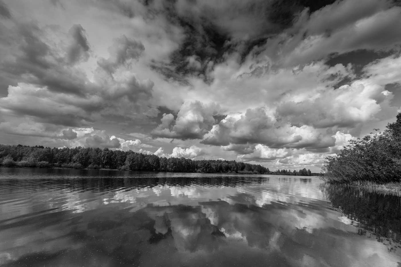 Летом у озера