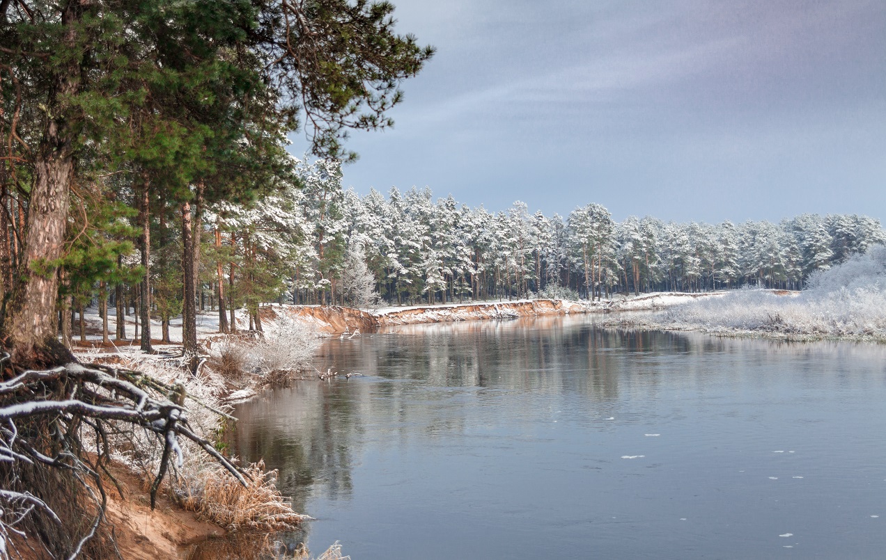 И снова " Вилия ".
