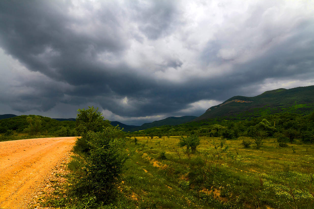 Впереди гроза