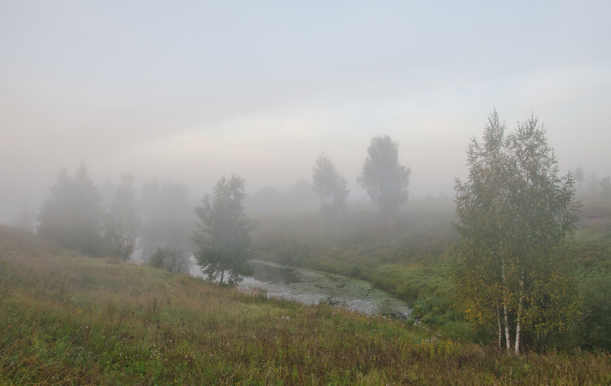 Туманы средней полосы