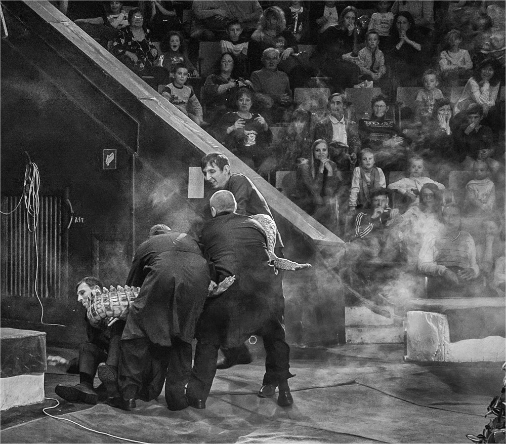 Четверо против...крокодила.