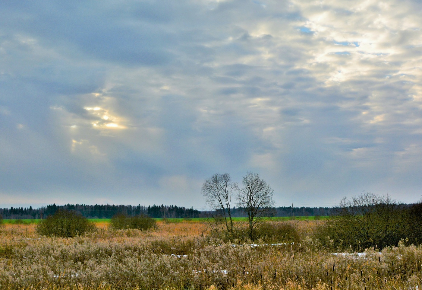 Вот такой нынче январь ...