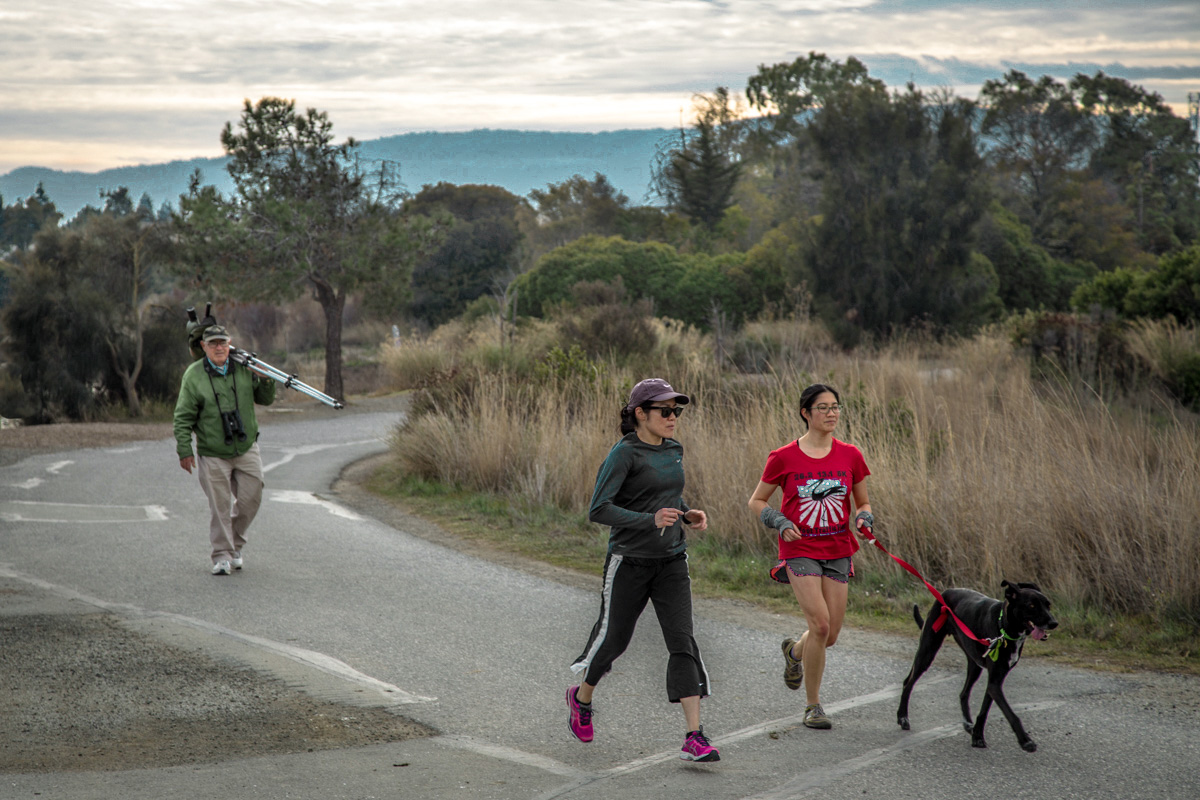 Типичная пятница