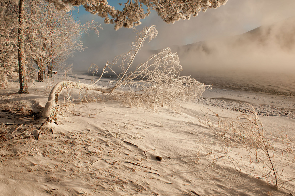 Борьба природы со стихией