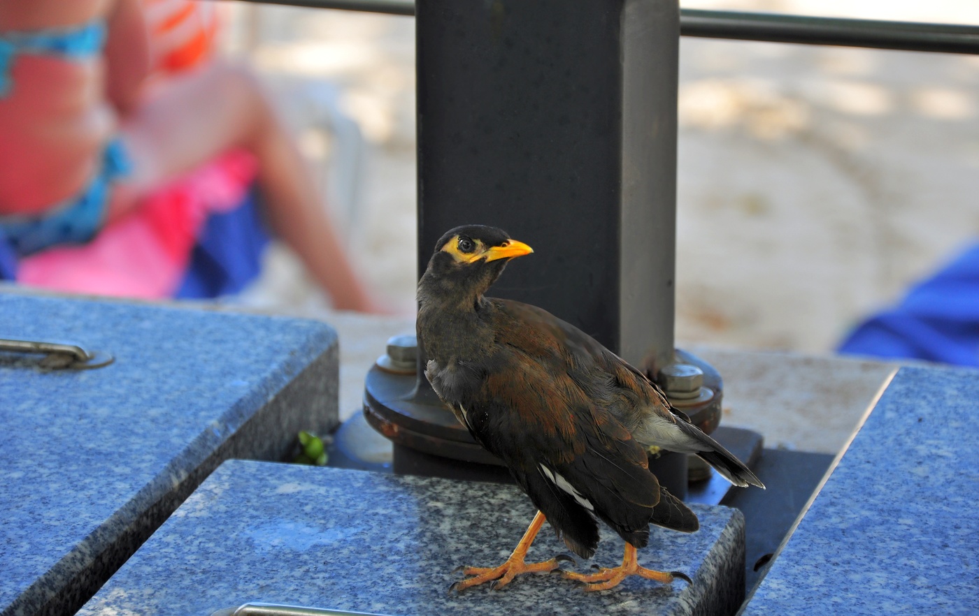 Типичная пятница