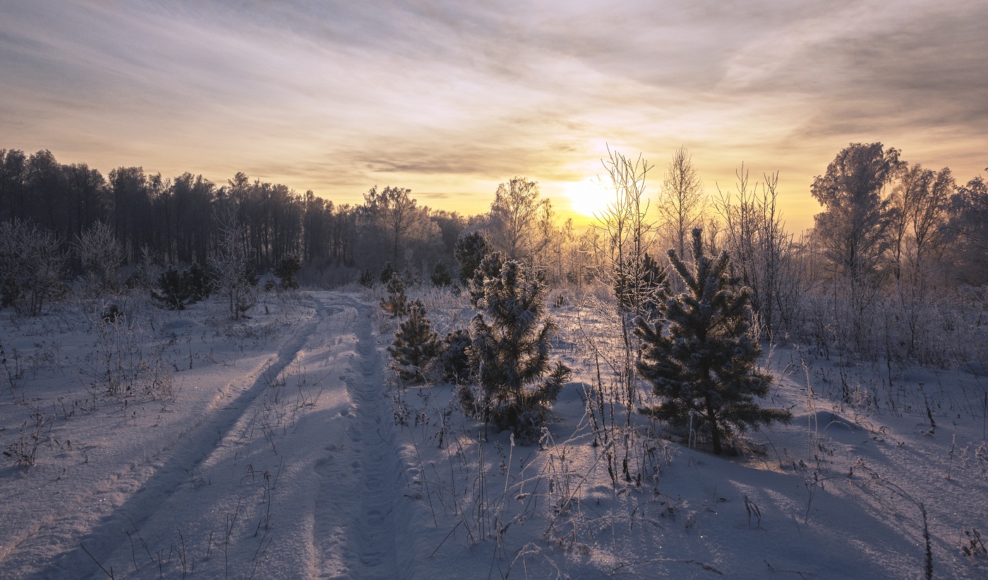 Вечерний свет теней.