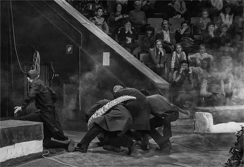 Четверо против...крокодила (II).