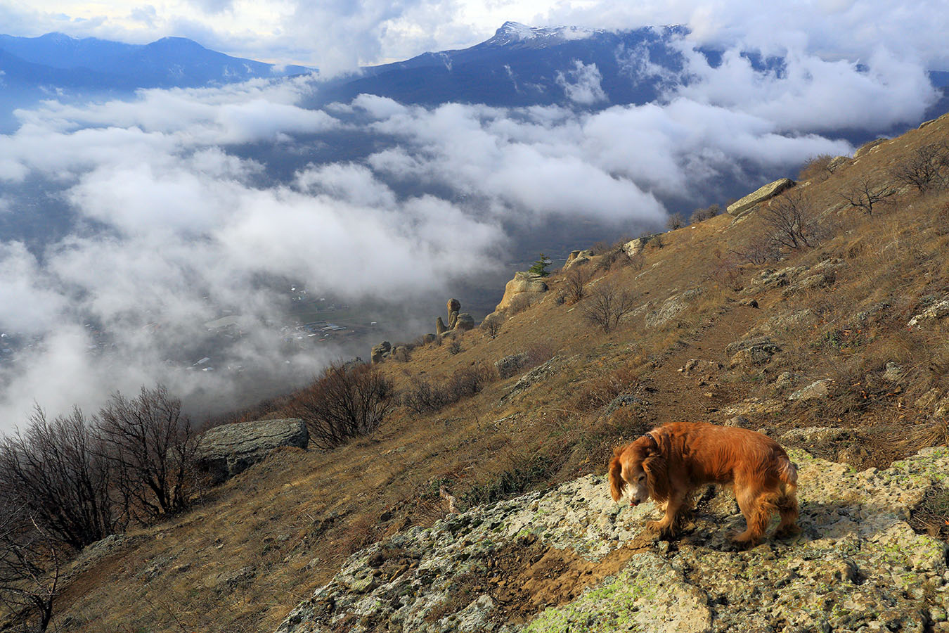 Над Алуштинской долиной