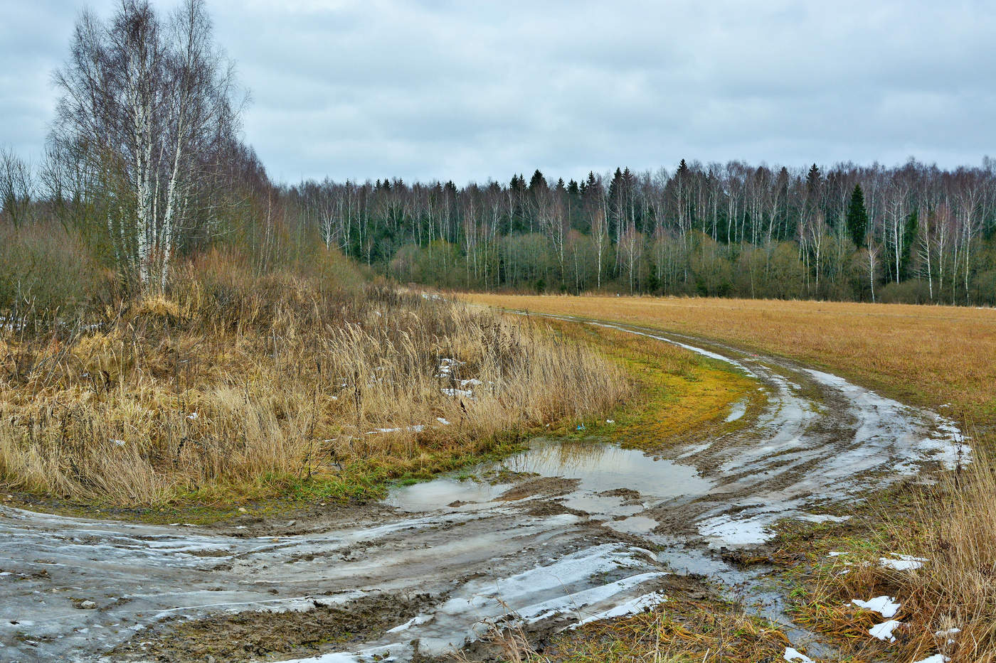 Проселочная дорога ...