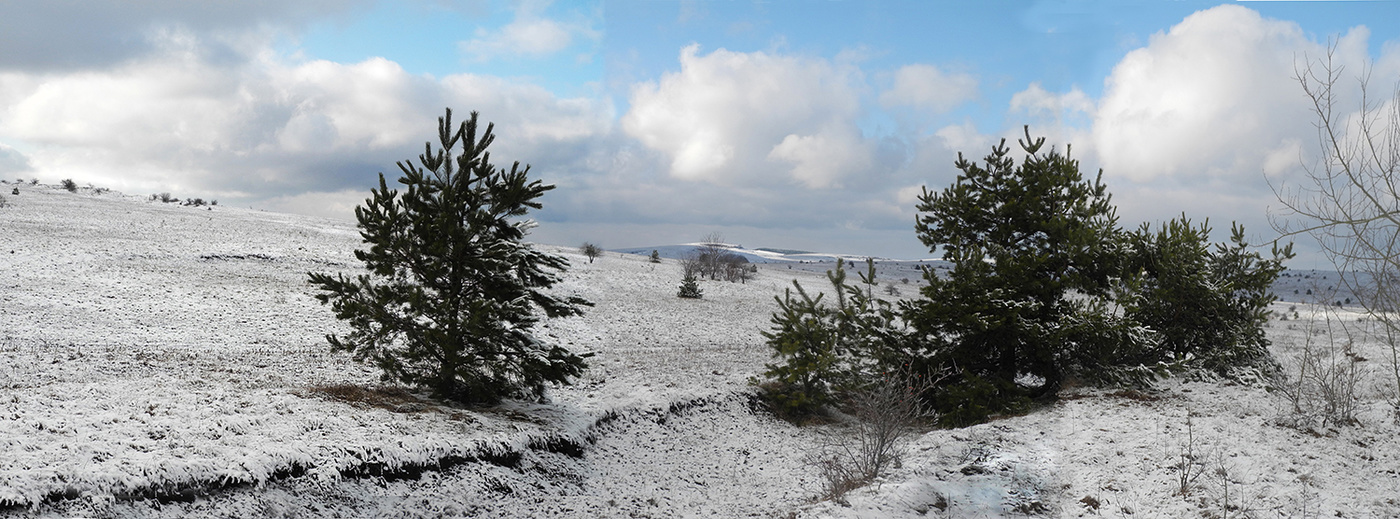Под голубыми небесами.