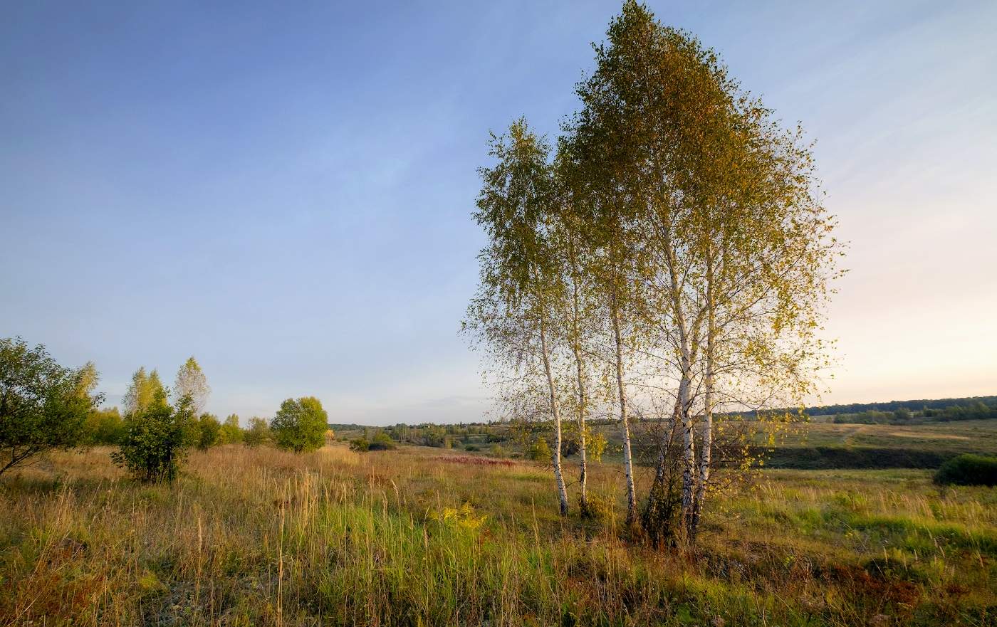 Нежный осенний рассвет