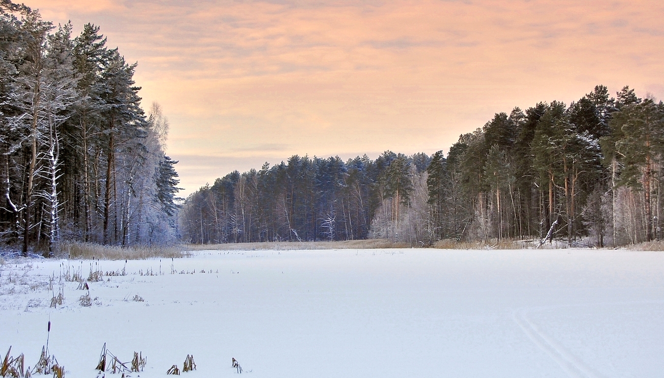 Январь в Полесье