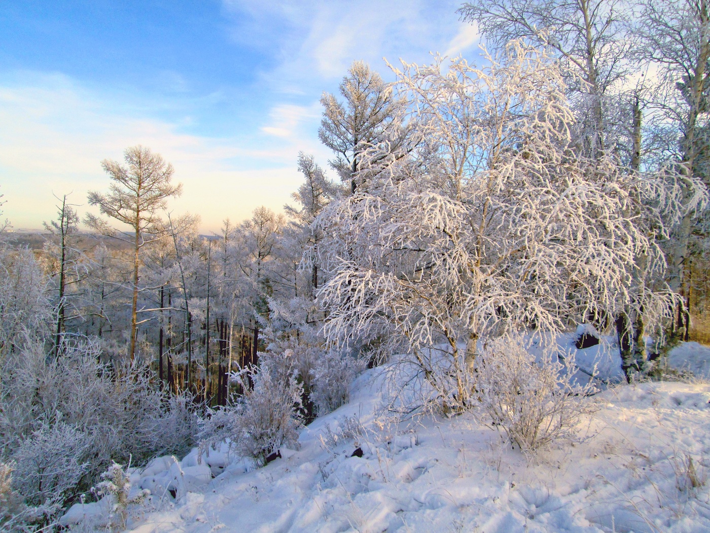 Зимние наряды