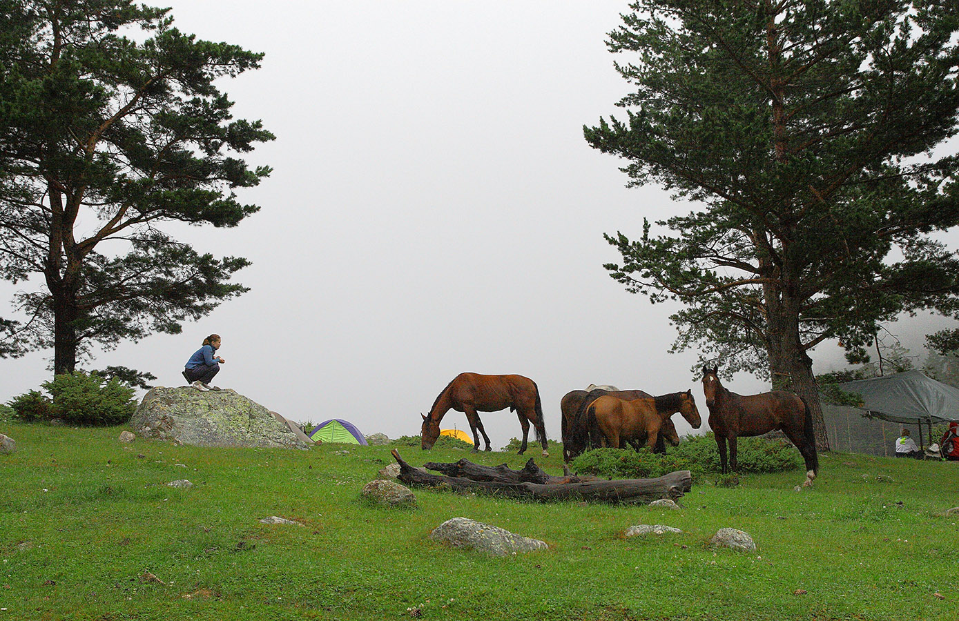 Утро в Узунколе