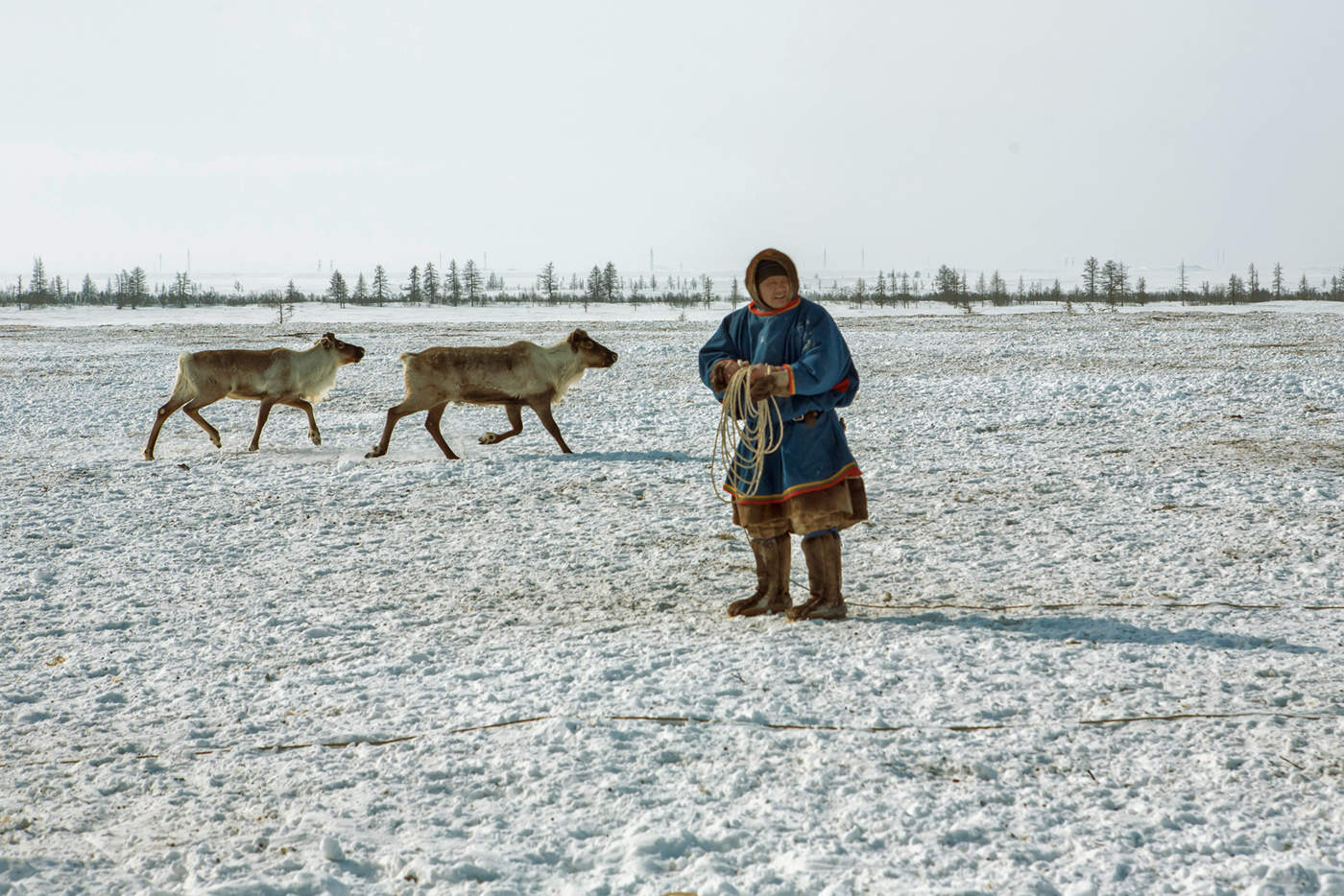Перед отловом.