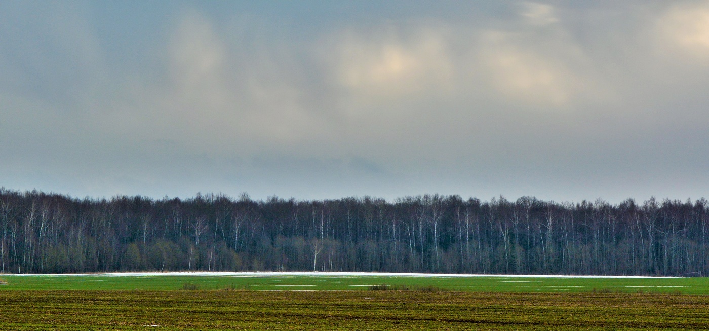 Странный январь ...
