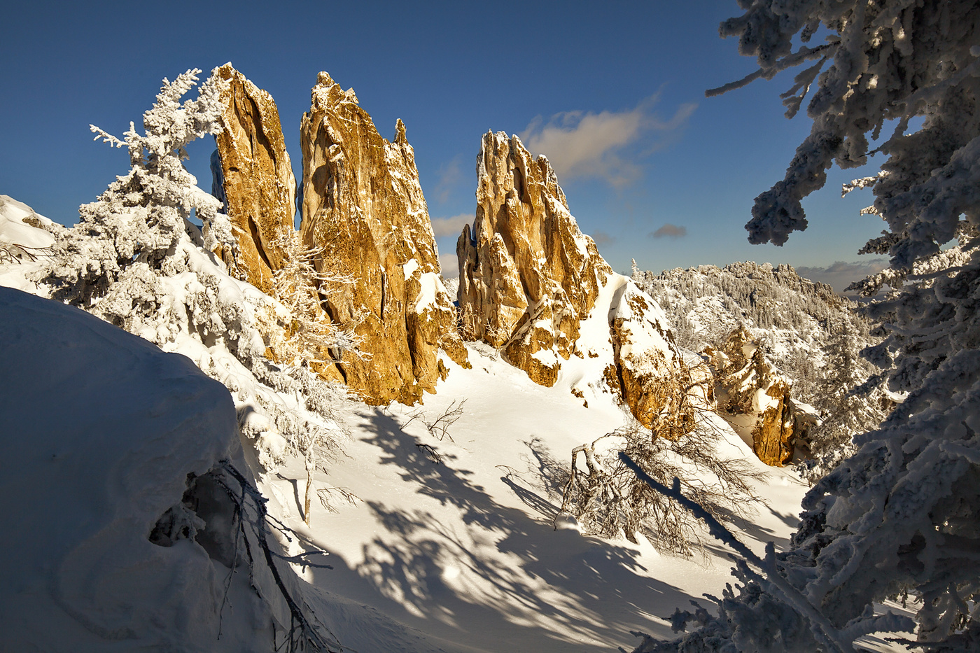 "Золото маккены"