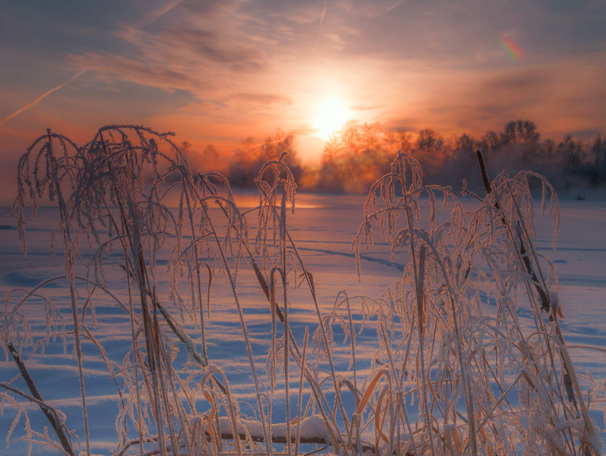 "Тёплый" январь