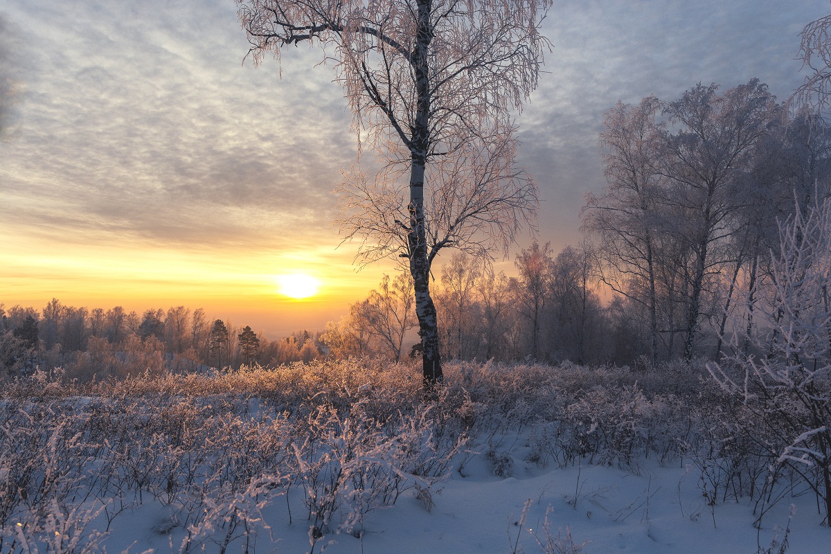 с Рождеством Христовым 2018
