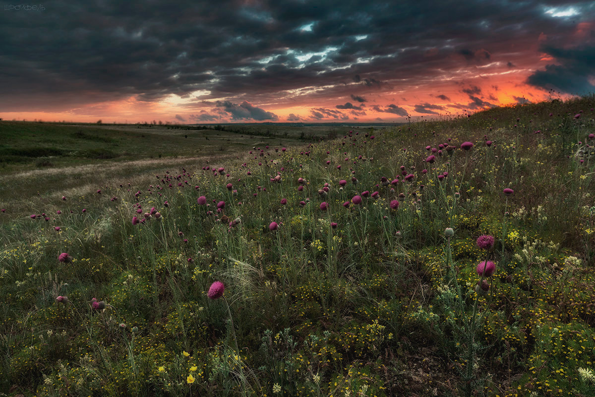 На исходе дня