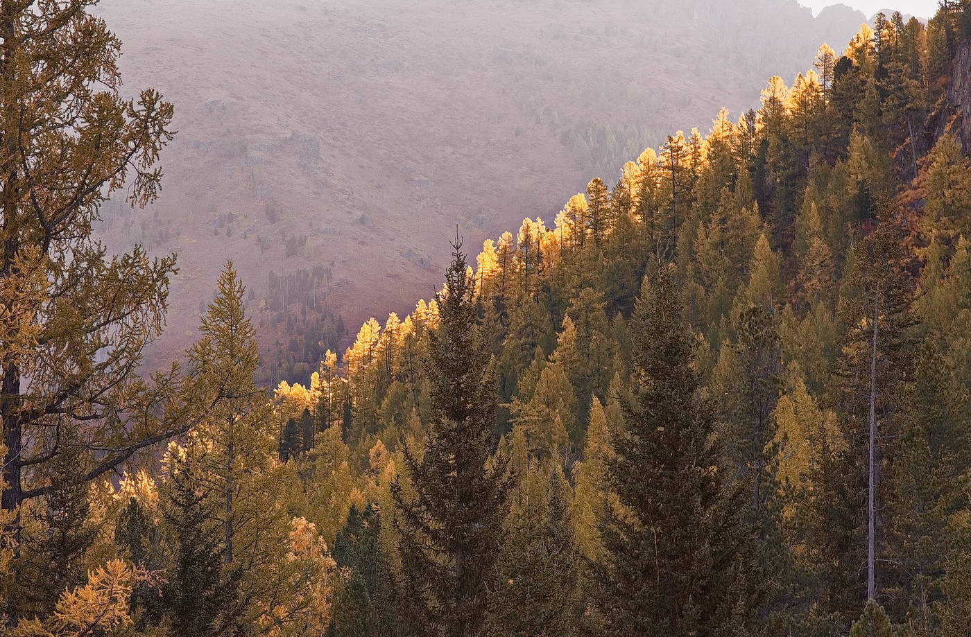 ГЕОМЕТРИЯ ОСЕНИ**