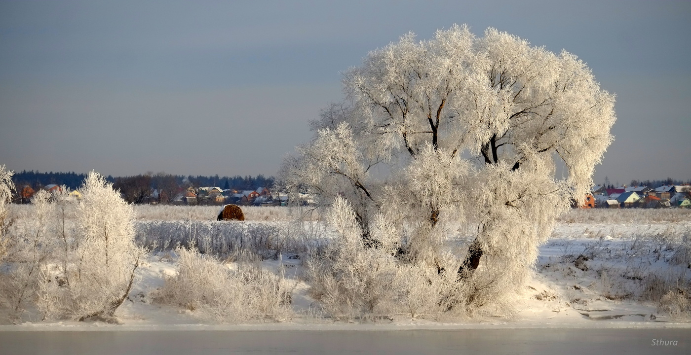 Украшение зимы.